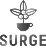 Surge